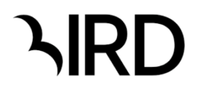 Top 10 Most Affordable and Reliable Digital Marketing Agency in UAE Bird 1